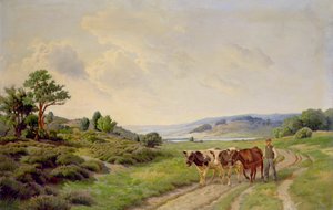 Extensa paisagem dinamarquesa com gado